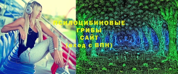 Альфа ПВП Верея