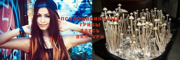 прущий лед Бугульма
