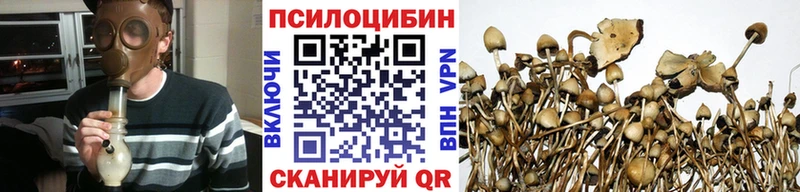 Псилоцибиновые грибы Magic Shrooms  гидра tor  Вяземский 