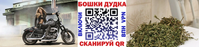 Канабис MAZAR  Вяземский 